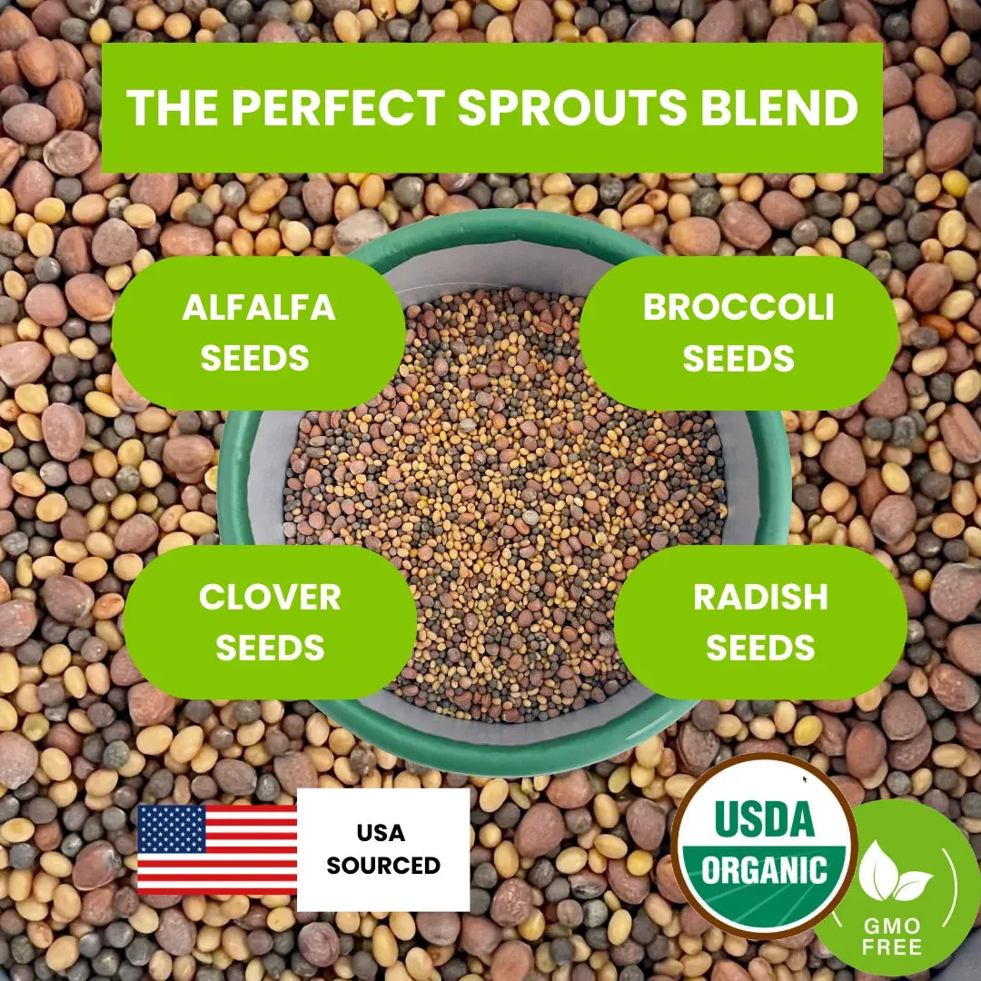 Mixed Sprouting Seeds Organic