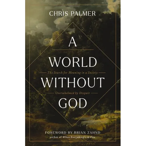 A World Without God: The Search for Meaning in a Society Overwhelmed by Despair