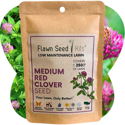 Medium Red Clover Seed