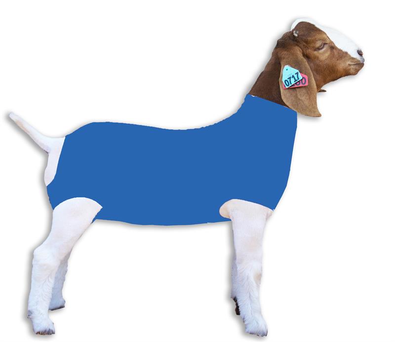 Goat, Tube Medium/Lemon Green