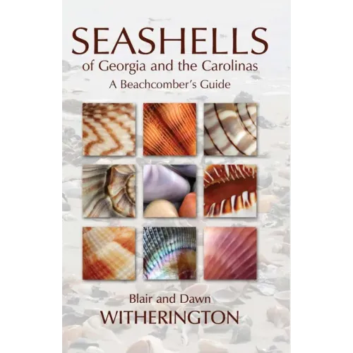 Seashells of Georgia and the Carolinas: A Beachcomber's Guide
