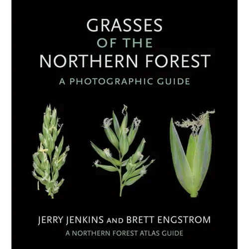 Grasses of the Northern Forest: A Photographic Guide
