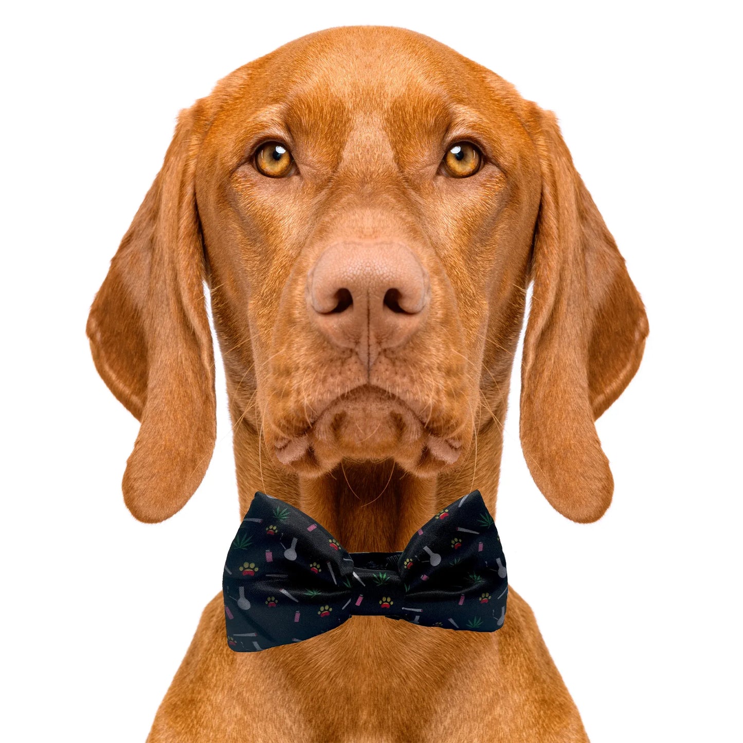 Marijuana Black Dog Bow Tie