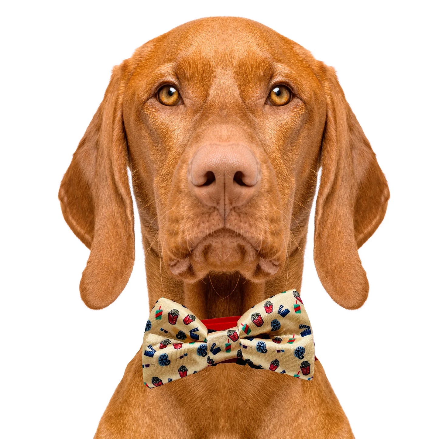 Movie Night Dog Bow Tie