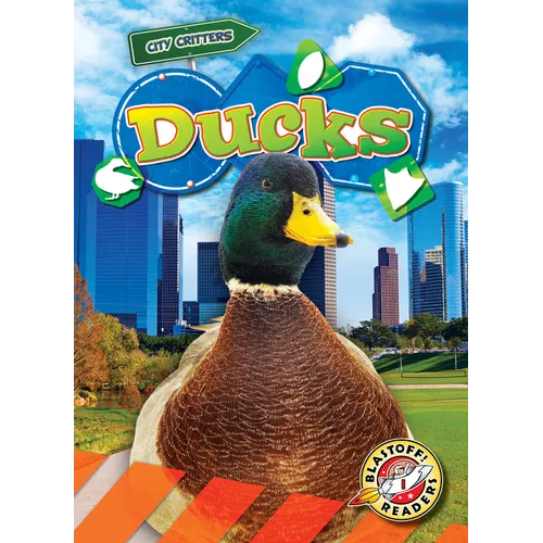 Ducks