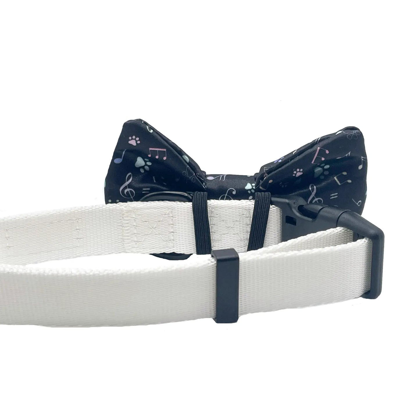 Music Notes Black Dog Bow Tie