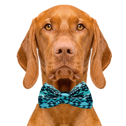 My Tribe Turquoise Dog Bow Tie