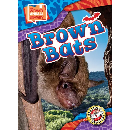 Brown Bats