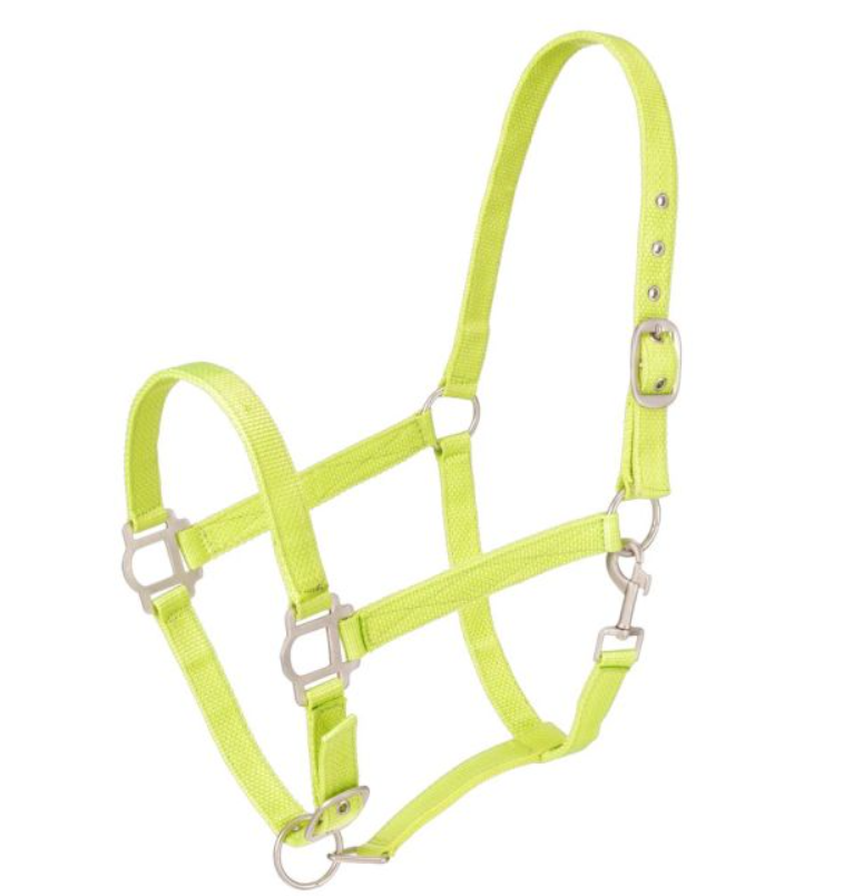 NEON GREEN - Tough-1 Nylon Halter with Satin Hardware