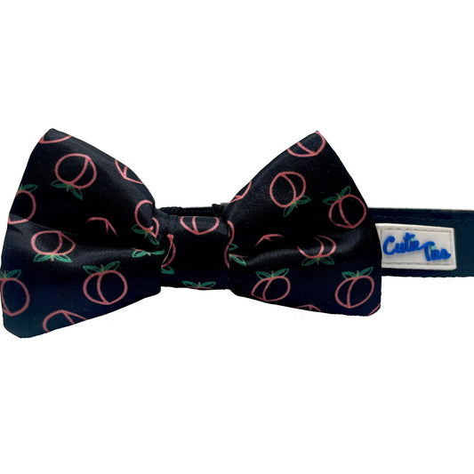 Neon Peach BlackDog Bow Tie