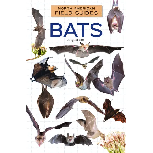 Bats