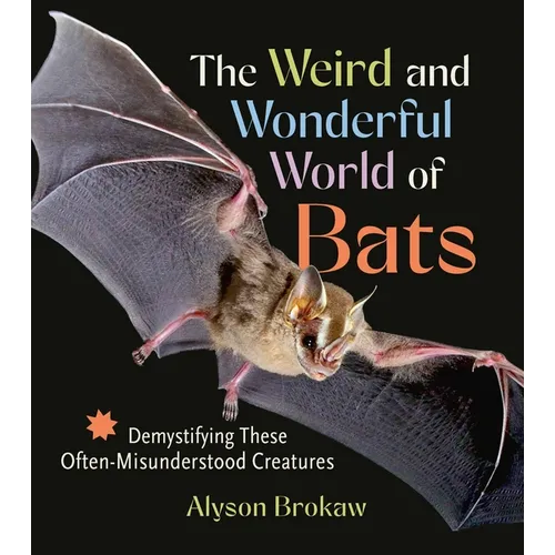 The Weird and Wonderful World of Bats: Demystifying These Often-Misunderstood Creatures