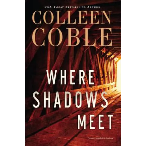 Where Shadows Meet: A Romantic Suspense Novel