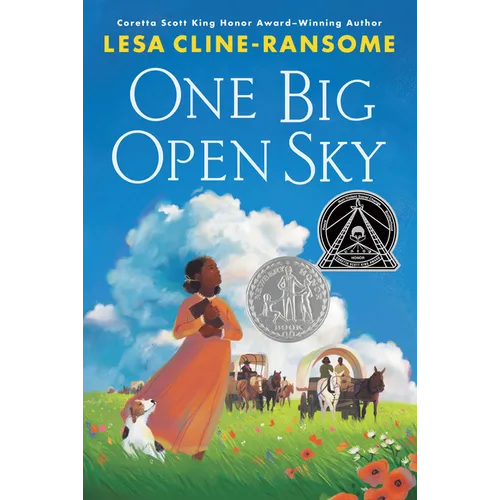 One Big Open Sky