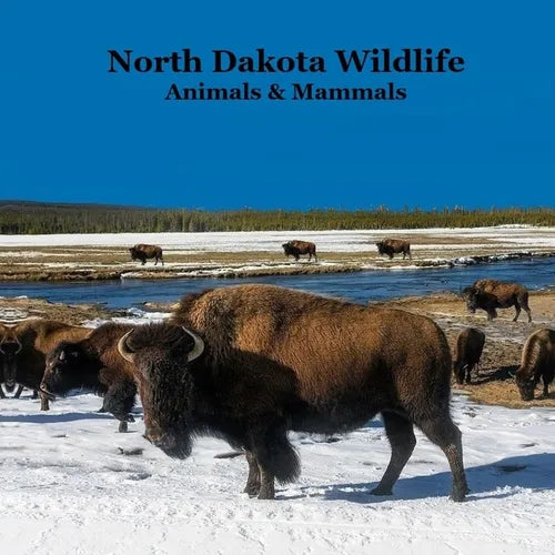 North Dakota Animals and Mammals Wildlife Book: Great North Dakota Animals Book for Children of all Ages