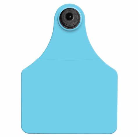 BLANK BLUE Allflex: Maxi Fem/Sm Male -