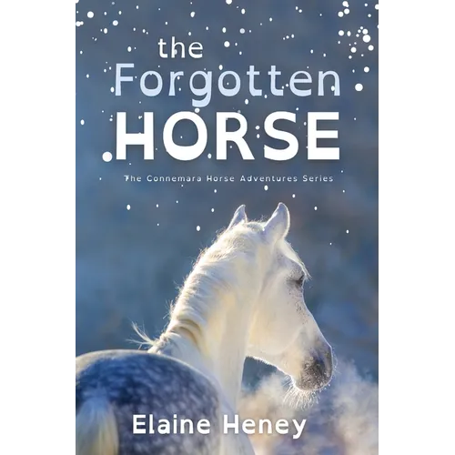 The Forgotten Horse - Dyslexia Friendly