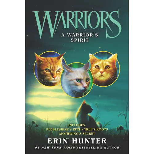 A Warrior's Spirit