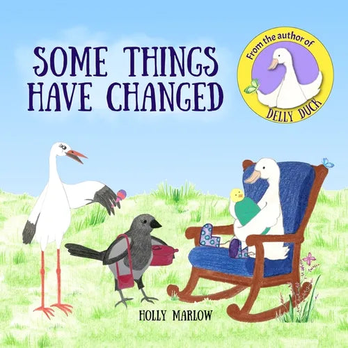 Some Things Have Changed: A gentle story to help care-experienced children to understand that a younger biological sibling can stay with their birth m
