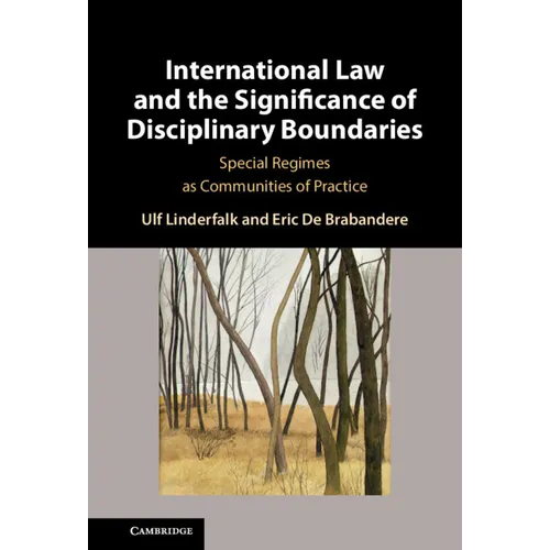 International Law and the Significance of Disciplinary Boundaries