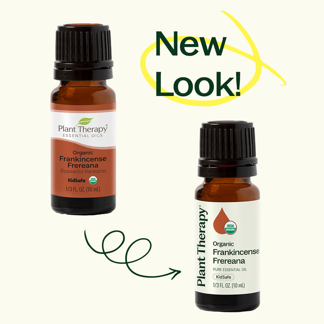 Organic Frankincense Frereana Essential Oil