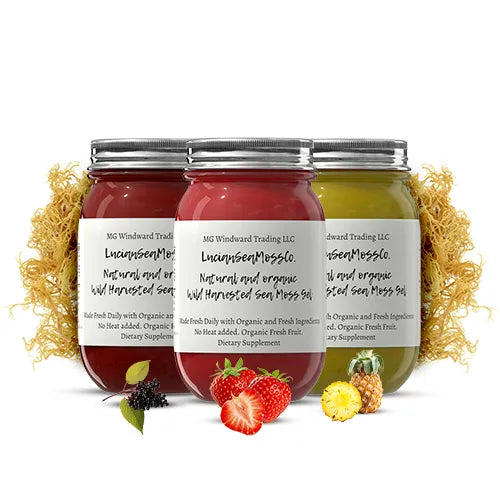 Organic Fruit Infused BEST SELLER Sea Moss Gel Bundle