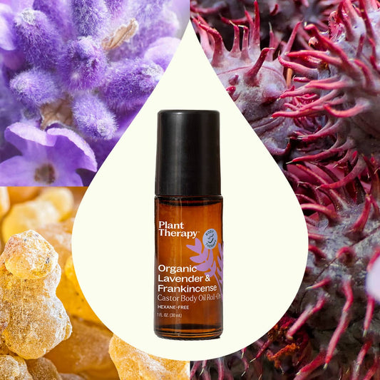 Organic Lavender & Frankincense Castor Body Oil Roll-On 30 mL