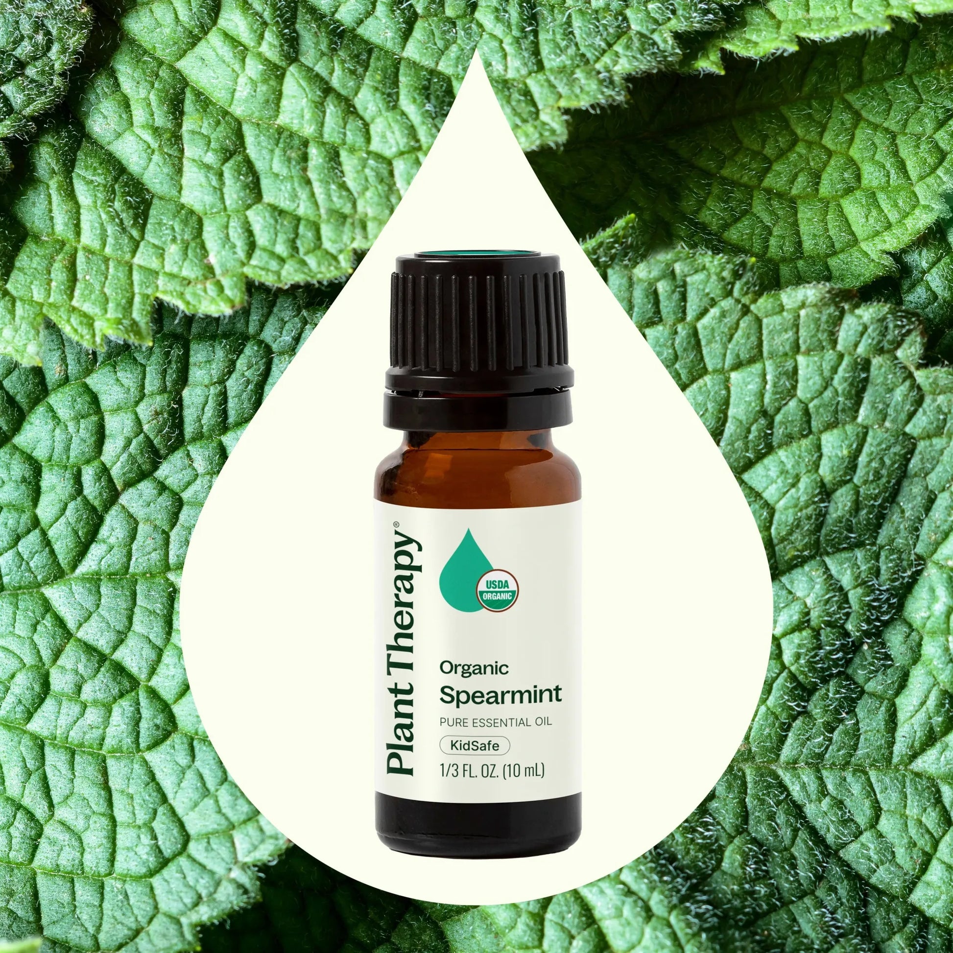 10 mL