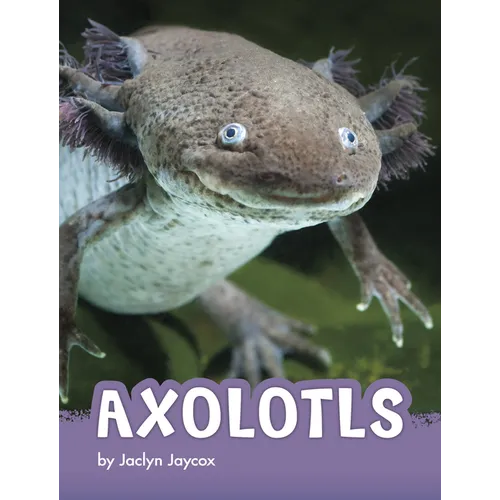 Axolotls