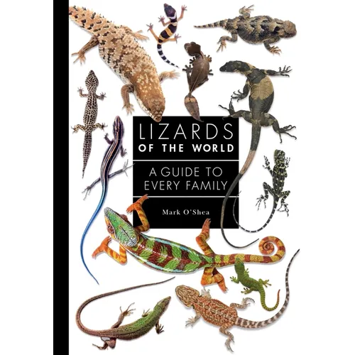 Lizards of the World: A Guide to Every Family