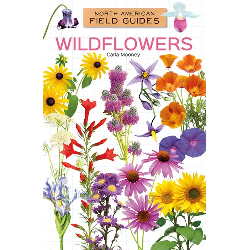 Wildflowers