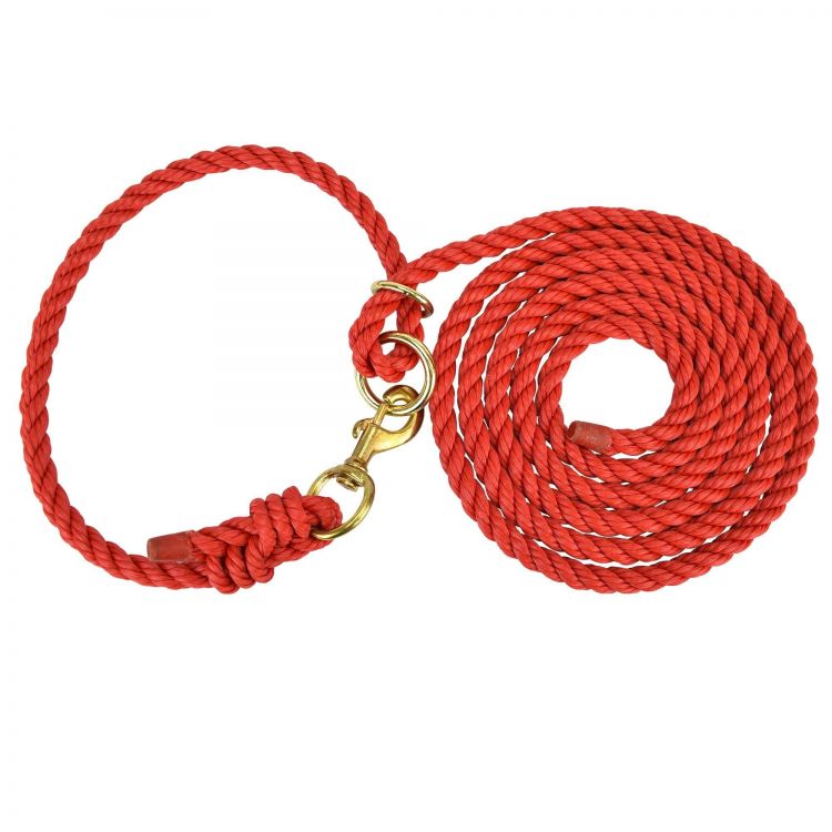 HAMILTON  Adjustable halter with lead and snap,