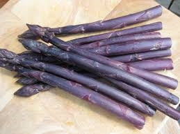 Asparagus 'Purple Passion' (1 crown, 25 min. order)