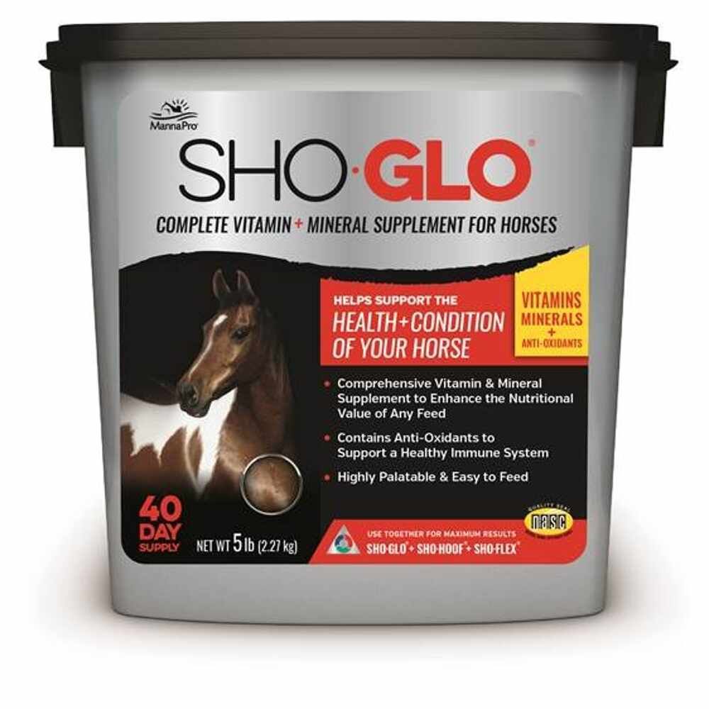 SHO-GLO 5# PAIL 4/CS