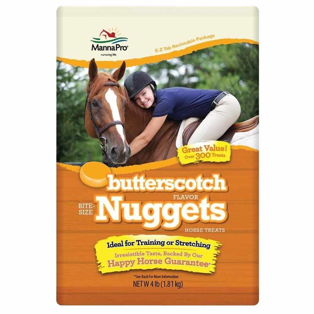 BUTTERSCOTCH NUGGETS