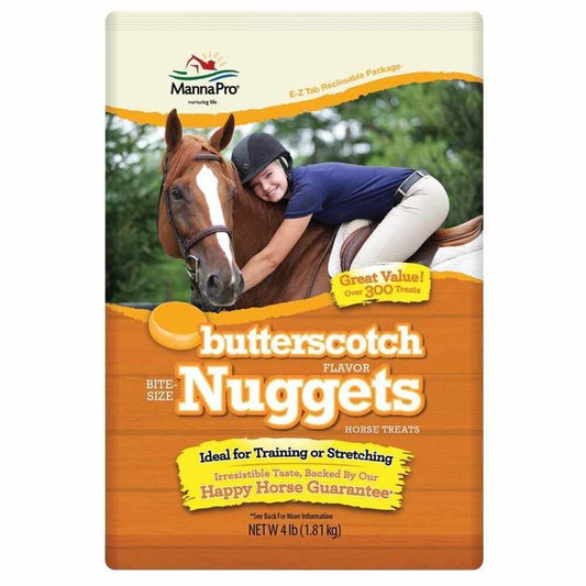 BUTTERSCOTCH NUGGETS