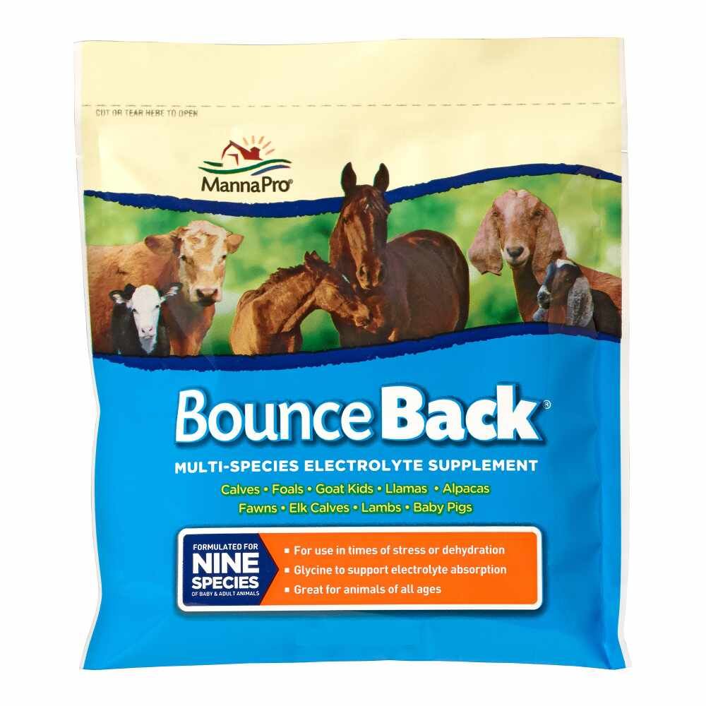 Bounce back