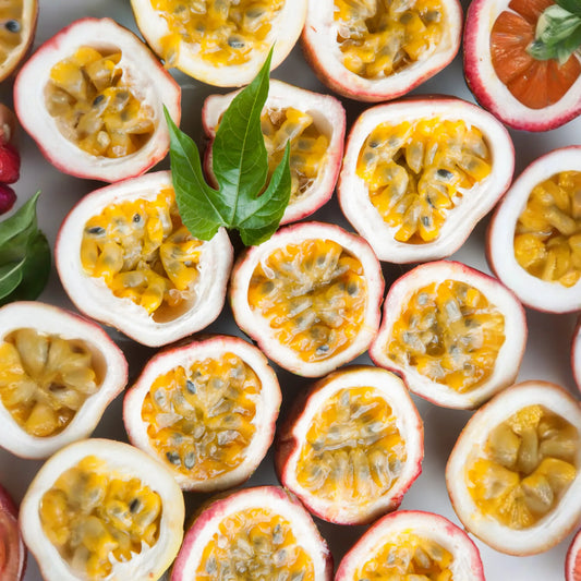 Passion Fruit 'Panama Red' (Passiflora edulis)