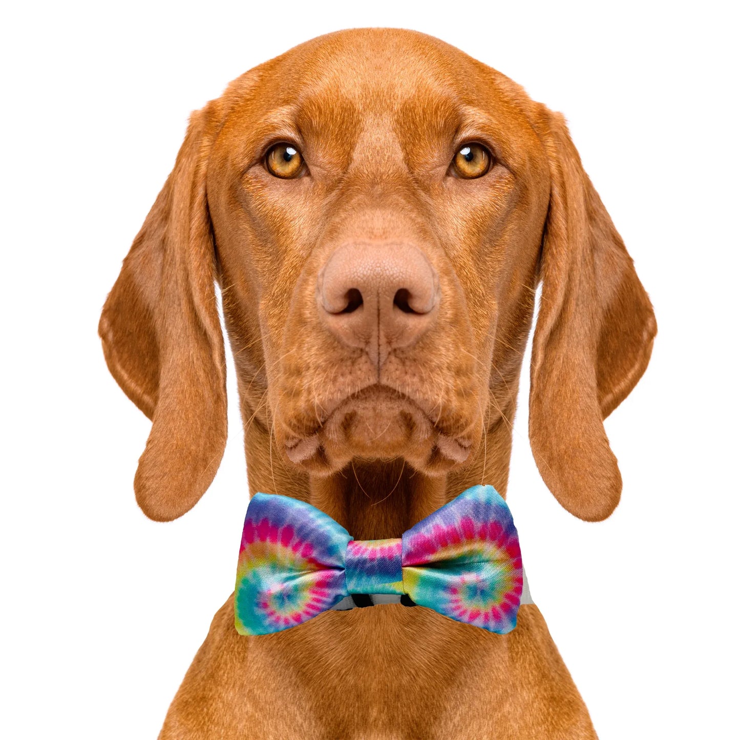 Pastel Tie Dye Dog Bow Tie