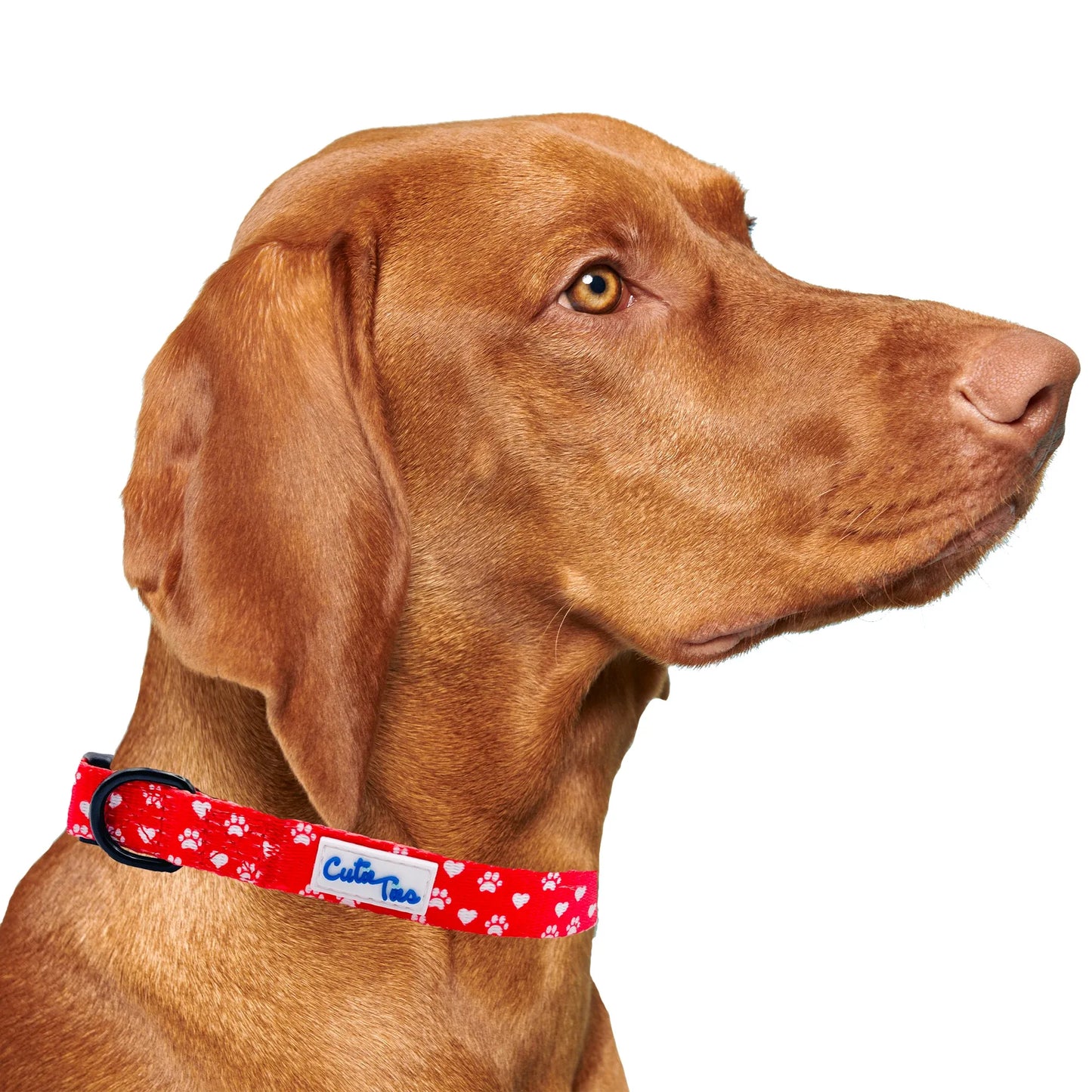 Valentines Day Paw Prints & Hearts Red Dog Collar