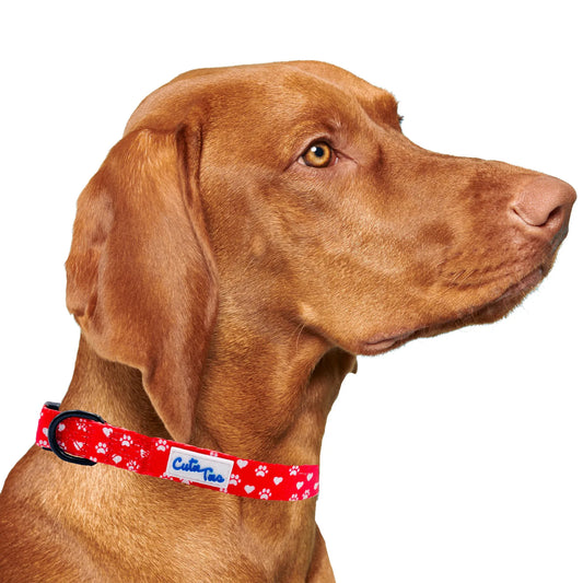 Valentines Day Paw Prints & Hearts Red Dog Collar