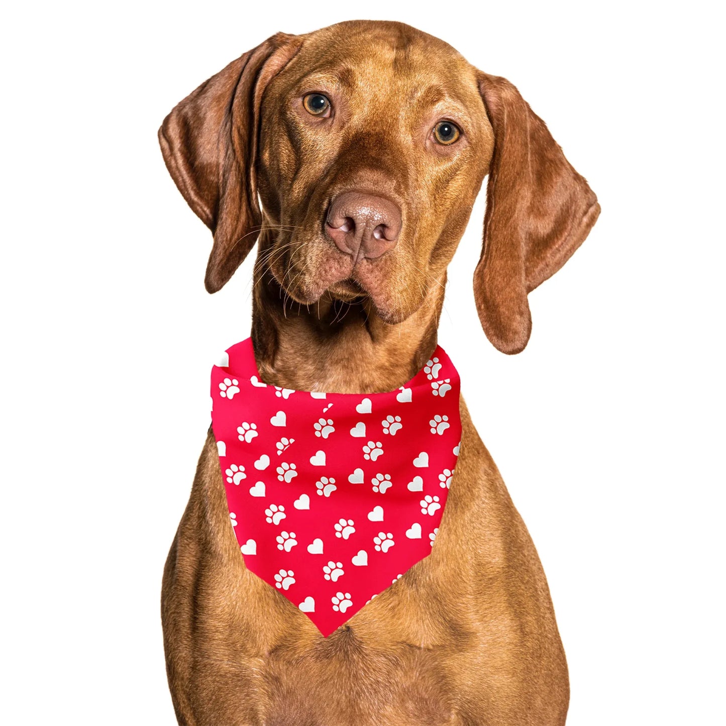 Valentines Day Paw Prints & Hearts Red Tie On Dog Bandana