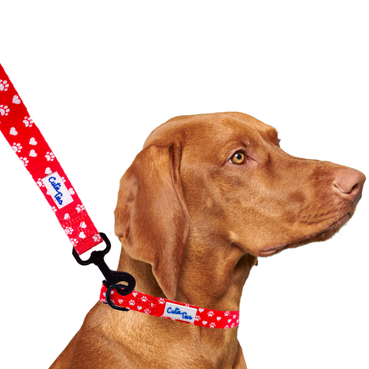 Valentines Day Paw Prints & Hearts Red Dog Leash