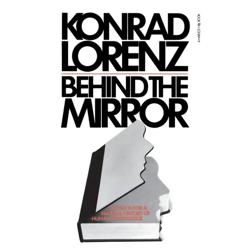 Behind the Mirror