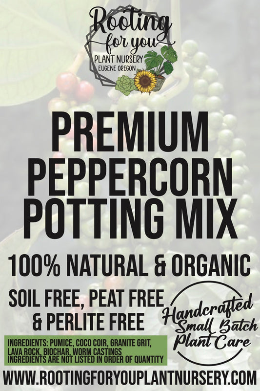 Peppercorn Plant Premium Potting Mix