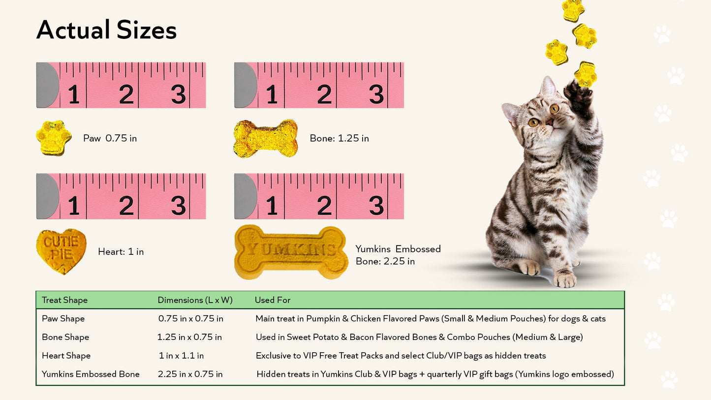 Yumkins™: Pumpkin & Chicken Flavored Paws and Bones (Dogs and Cats) - Large Size Single Pouch - 6.9oz