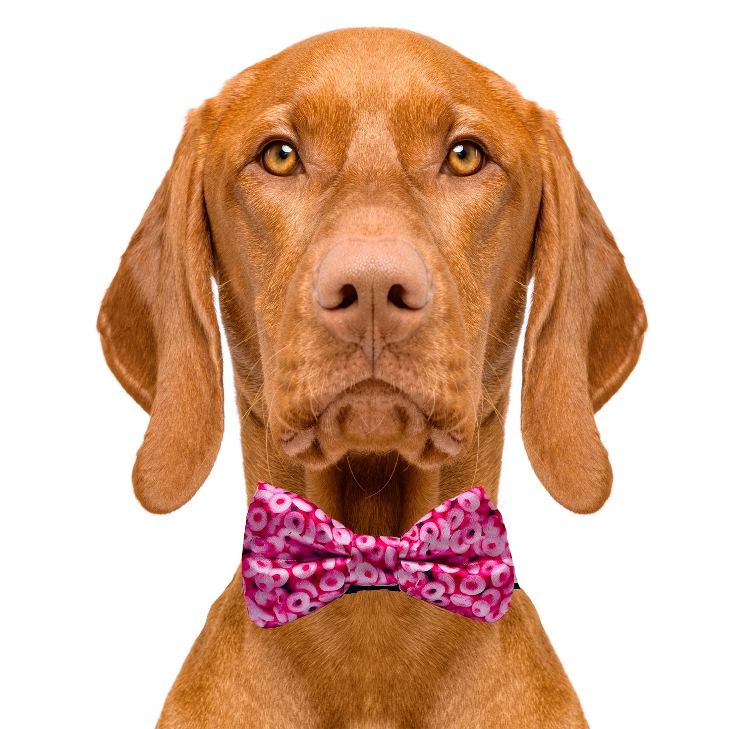 Pink Cheerios Dog Bow Tie