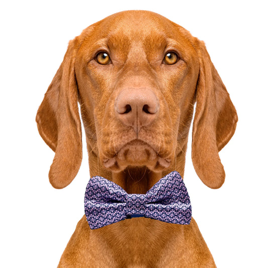 Pink & Blue Dog Bow Tie