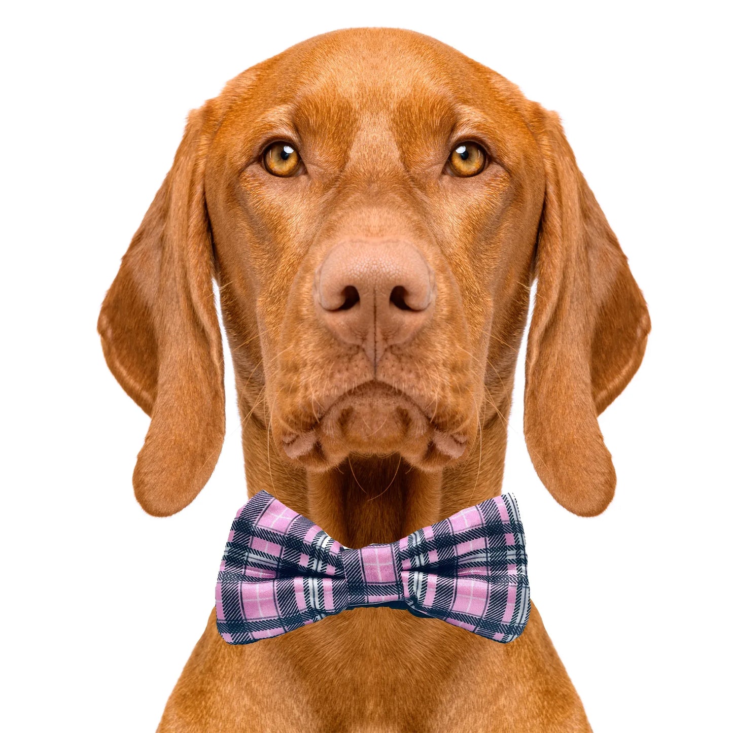 Plaid Pink Dog Bow Tie