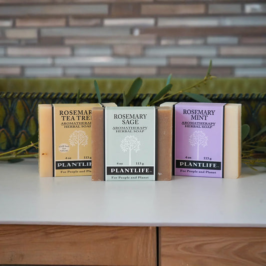 Rosemary Soap Bundle